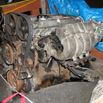 P1010060.JPG