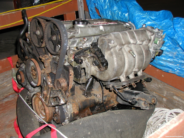 P1010060.JPG