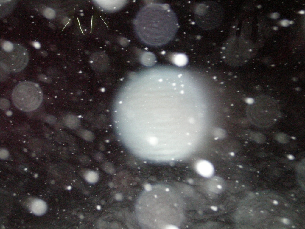 Picture 019.jpg