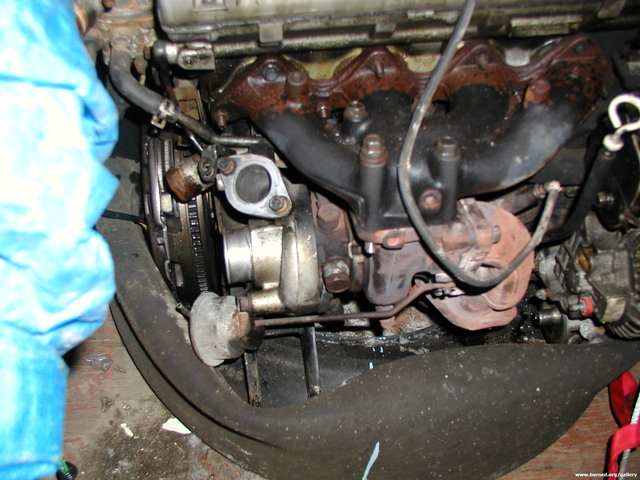 P1010063.JPG