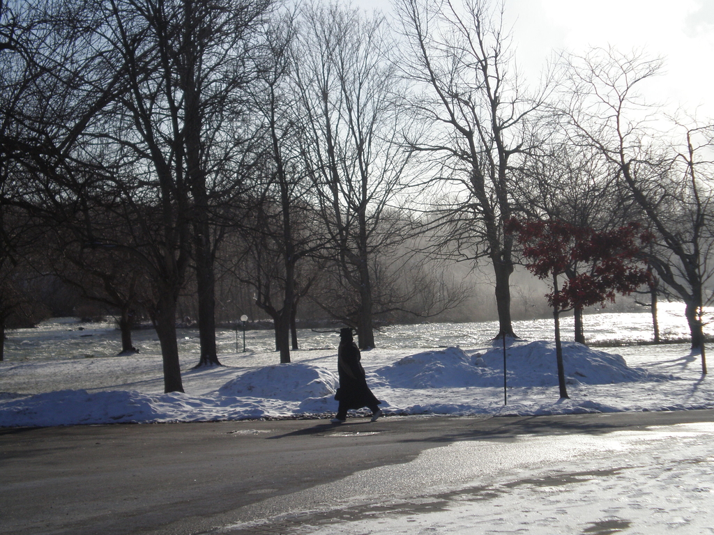 Picture 052.jpg