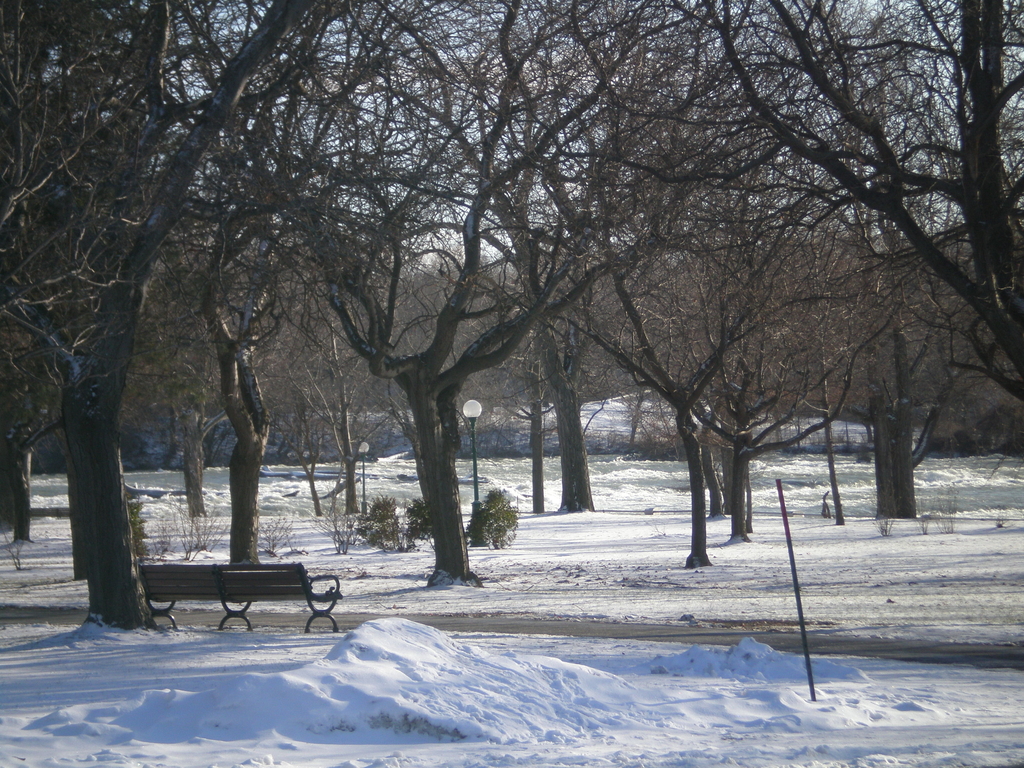 Picture 053.jpg