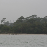 SLR 251.jpg