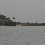 SLR 253.jpg