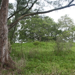 SLR 276.jpg