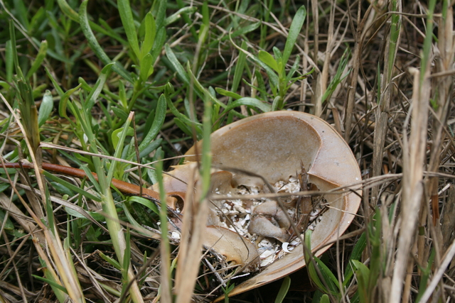 SLR 283.jpg