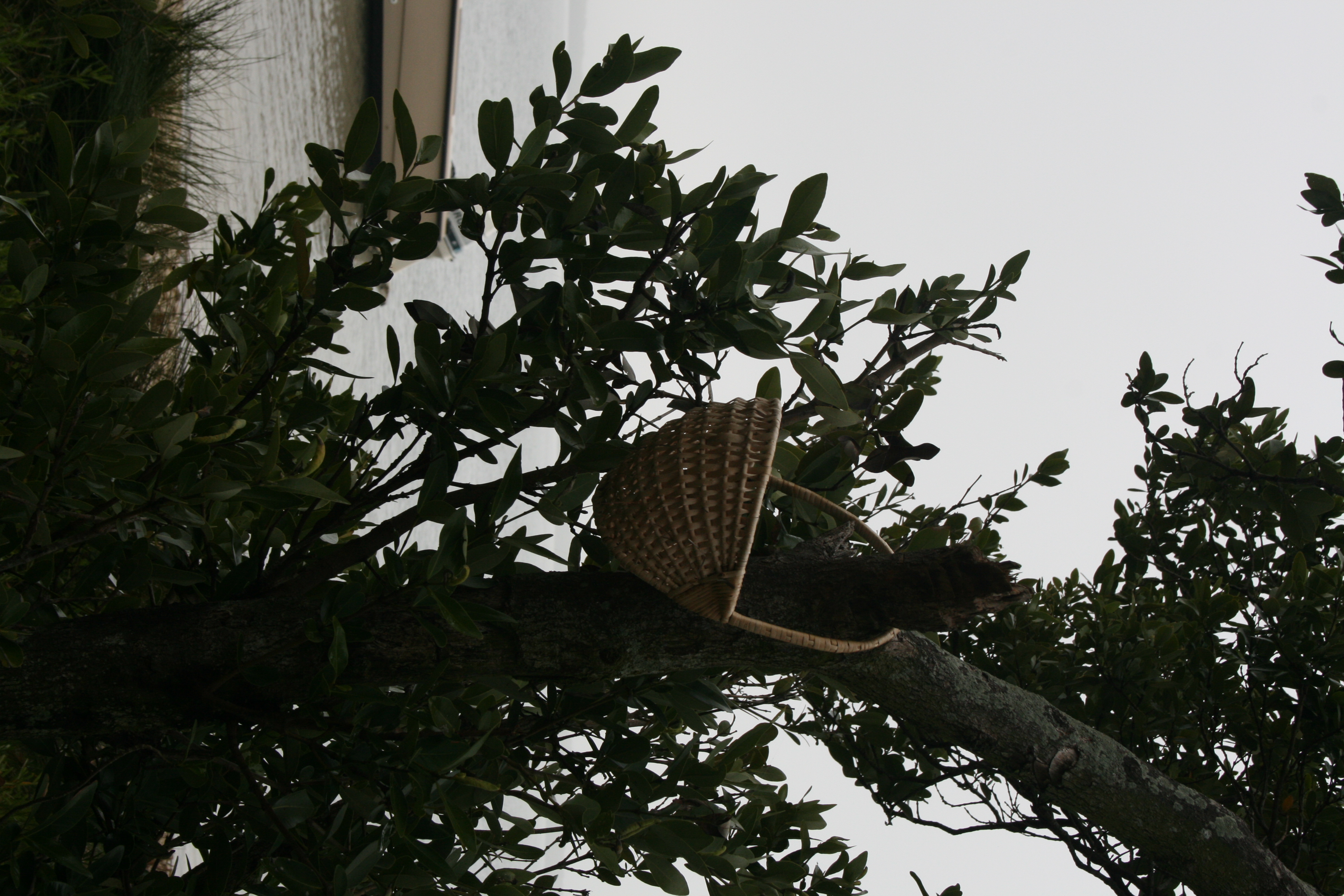 SLR 284.jpg