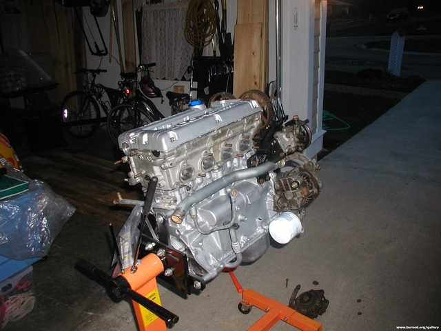 Picture 010.jpg