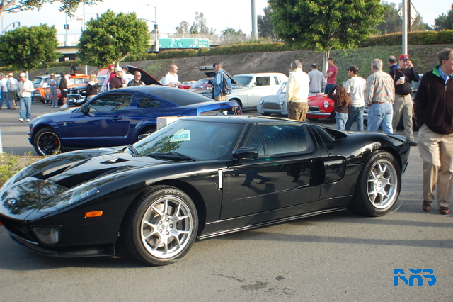 DSC_0950.JPG