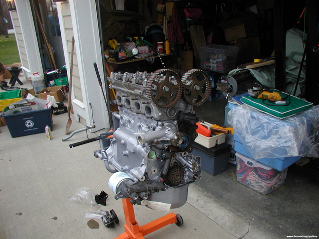 Picture 004.jpg