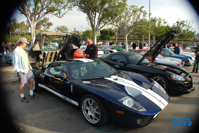 DSC_0981.JPG