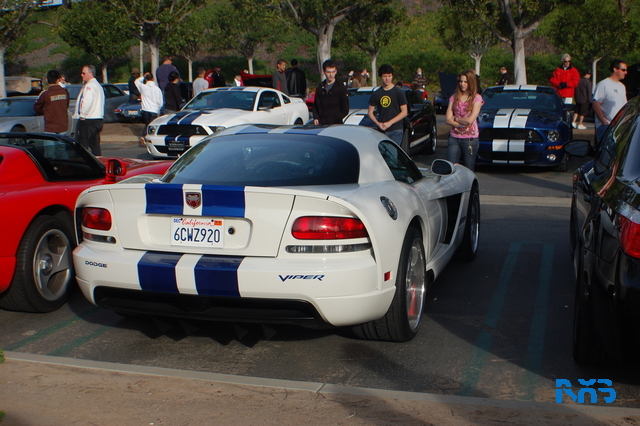 DSC_1031.JPG