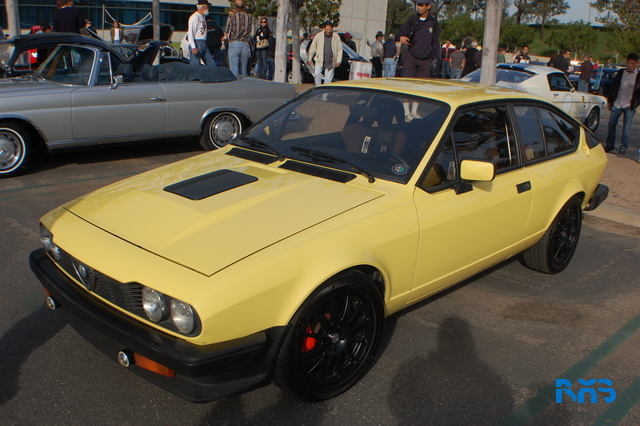DSC_1100.JPG
