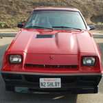 DSC_1113.JPG