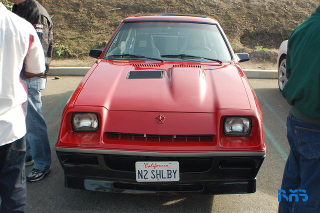 DSC_1113.JPG
