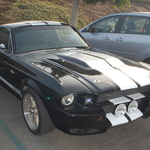 DSC_1116.JPG