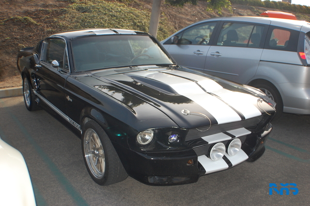 DSC_1116.JPG