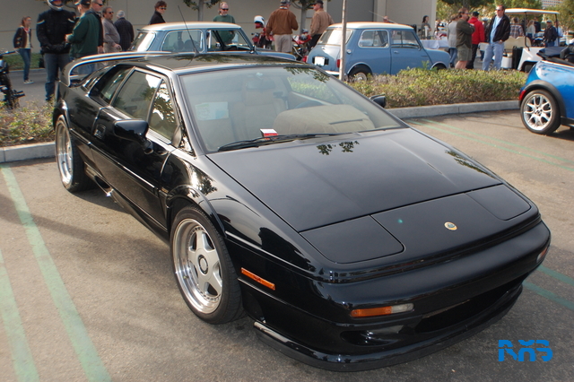 DSC_1122.JPG