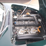 DSC_1128.JPG