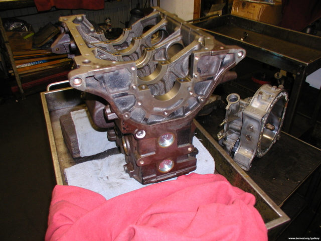 P1010042.jpg