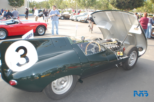 DSC_1145.JPG