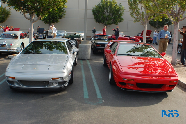 DSC_1153.JPG