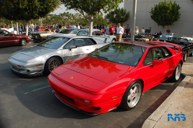 DSC_1154.JPG