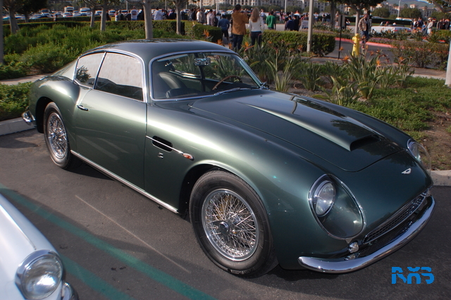 DSC_1155.JPG