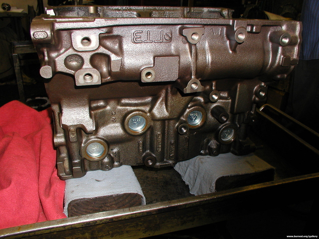 P1010043.jpg