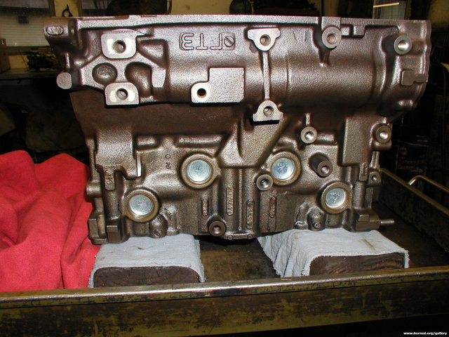 P1010044.jpg