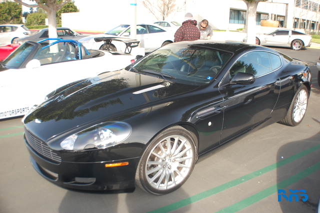 DSC_1178.JPG