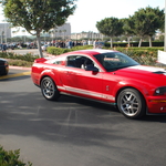 DSC_1187.JPG