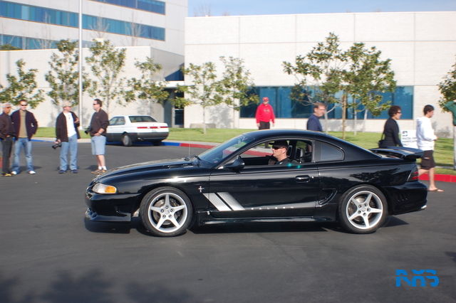 DSC_1194.JPG