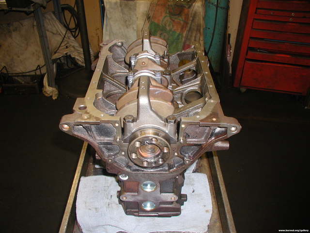 P1010050_001.jpg