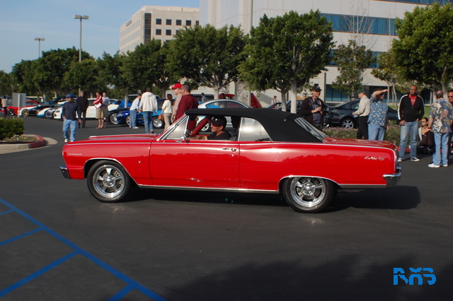 DSC_1212.JPG