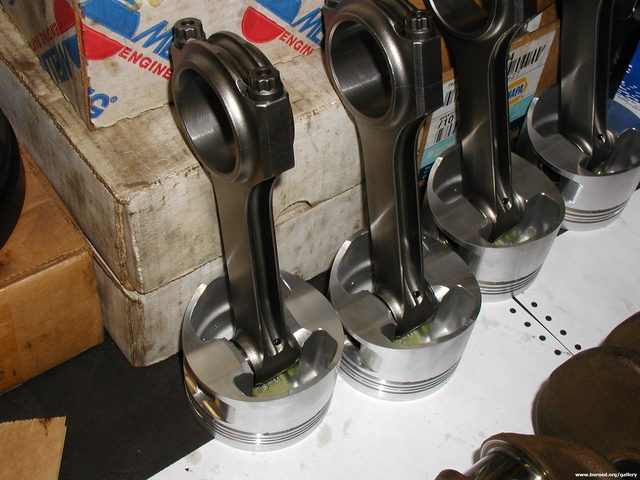 P1010051.jpg