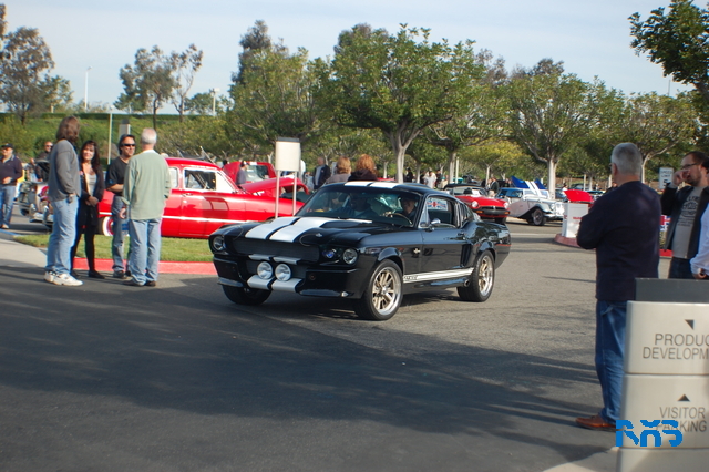 DSC_1218.JPG