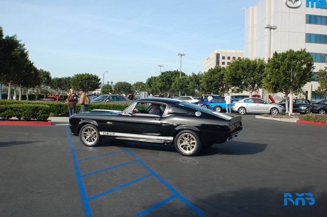 DSC_1221.JPG