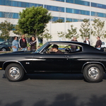 DSC_1233.JPG
