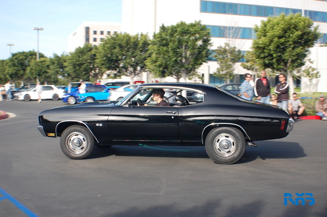 DSC_1234.JPG