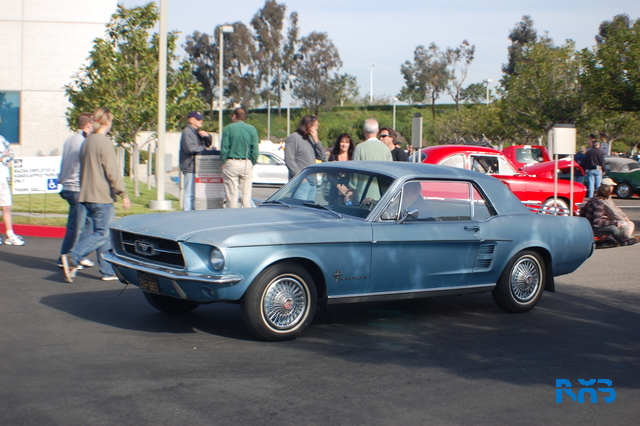 DSC_1236.JPG