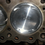 P1010056.jpg