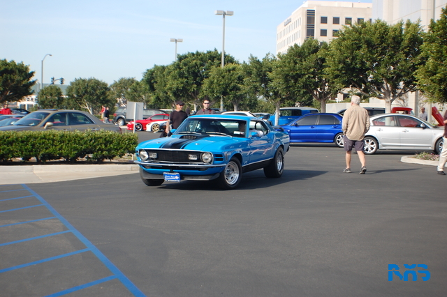 DSC_1254.JPG
