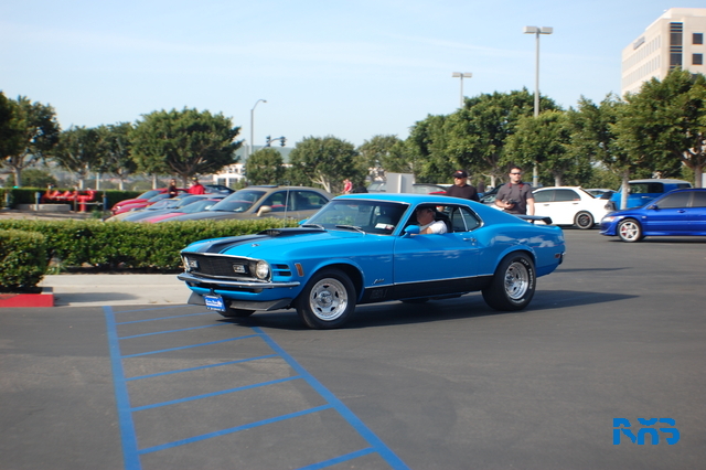 DSC_1255.JPG