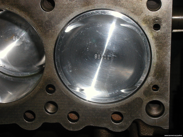P1010056.jpg
