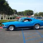 DSC_1256.JPG