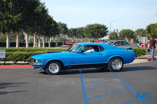 DSC_1256.JPG
