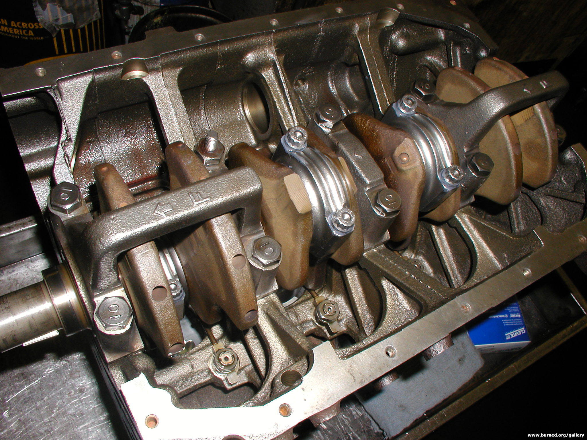P1010052_001.jpg