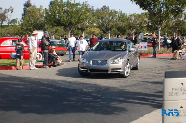 DSC_1318.JPG