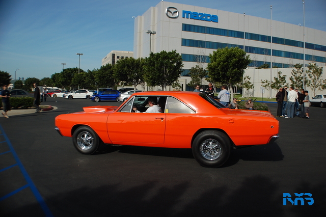 DSC_1347.JPG